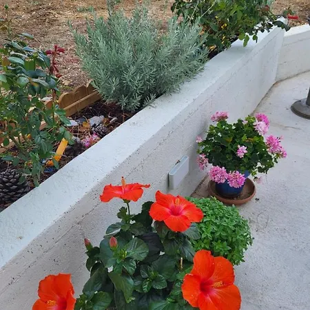 Σπίτι διακοπών Country In Dafni, *